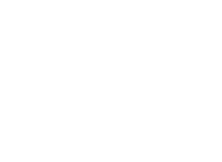 El Swami